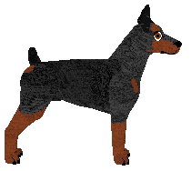 Dragosani MASK OF ZORRO — “Martin”