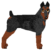 Profile image of Dragosani MASK OF ZORRO