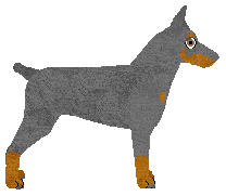 Oakley's Urbex Eksploration — “Sietra”