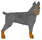 Profile image of Oakley's Urbex Eksploration