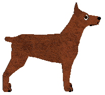 ELUVEITIE of Amore Mio — “Elka”