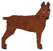 Profile image of ELUVEITIE of Amore Mio