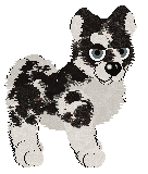 SWKM's Thistle & Thaw — “Chalet”