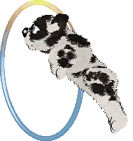 SWKM's Thistle & Thaw — “Chalet”