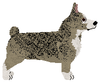 Heavenly Restriction at VON — “Maki”