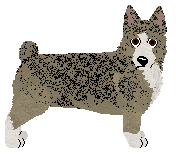 Profile image of Heavenly Restriction at VON