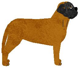 Cansas' Amber Dream — “Xena”