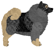 Cansas' Guilty Pleasure — “Gem”