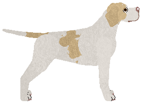 Cansas' Heat Wave — “Belmondo”