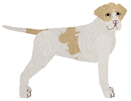 Profile image of Cansas' Heat Wave