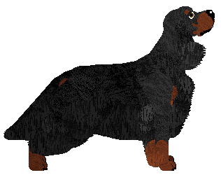 Peregrine Good As Gold — “Briege”