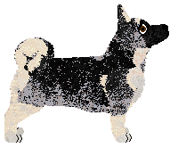 Complete Manifestation at VON — “Yuta”