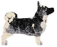 Profile image of Complete Manifestation at VON