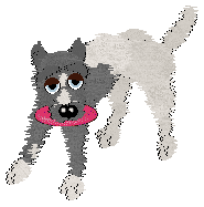 Willowdance NOT A SMART CHOICE — “Smarty”