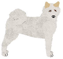 Profile image of Blizzard Ice Cold