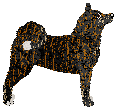 Miyagawacho no Katsuki — “Miya”