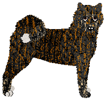 Profile image of Miyagawacho no Katsuki