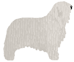 Dragosani SERCE OCEANU — “Vaiana”