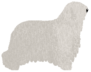 Dragosani KSIĄŻE ZŁODZIEI — “Robin Hood”