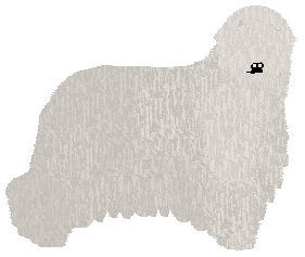 Profile image of Dragosani KSIĄŻE ZŁODZIEI