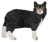 Pins'n'Needles' ANTURAŻ — “Anturaż”