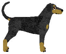 Pins'n'Needles' LOVE ME ANYWAY — “Anyway”