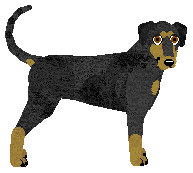 Profile image of Pins'n'Needles' LOVE ME ANYWAY