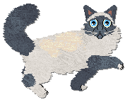 Profile image of Frogbowl Powder Blue