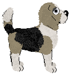 Mockingbird's One For Sorrow at Chachke — “Magpie”