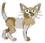 Profile image of Mockingbird's Call Me Whale