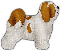 Profile image of Blizzard NIE DZIEL WŁOSA NA CZWORO!