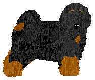 Blizzard BABA JAGA PATRZY! — “Wella”