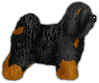 Profile image of Blizzard BABA JAGA PATRZY!