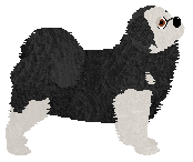 Blizzard Luxurious Gift — “Laszlo”