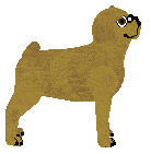 ACK's NIE PODDAMY SIĘ — “Ira”