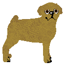 Profile image of ACK's NIE PODDAMY SIĘ