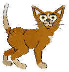 Mockingbird's Salt and Stardust — “Stella”