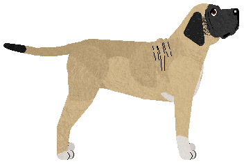 Dragosani ŻYWCEM POGRZEBANA — “Olga”