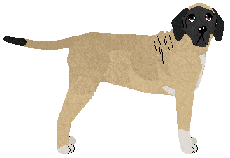 Profile image of Dragosani ŻYWCEM POGRZEBANA