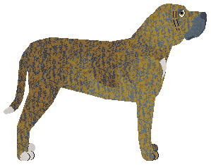 Dragosani ZAGINIONY W AKCJI — “Wiktor”