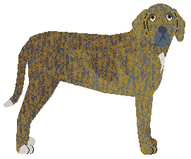 Profile image of Dragosani ZAGINIONY W AKCJI