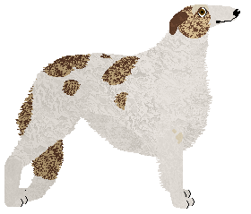 Carousel's Piange Diamanti — “Amico”