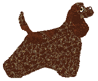 Mirror Blue's Tale of the Seaboard — “Nostromo”