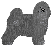 Profile image of Blizzard O MAŁY WŁOS...