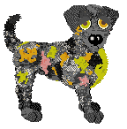 Heirloom Hybrid Colony — “Symbiosis”