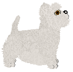 Vivaldi Chalk Silhouette — “Silk”