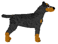 Vivaldi Tunnel Vision — “Champ”