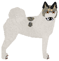 Profile image of Dragosani NA SZCZYCIE