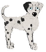 Confetti's Dressed My Best — “Festival”