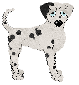 Confetti's Dressed My Best — “Festival”